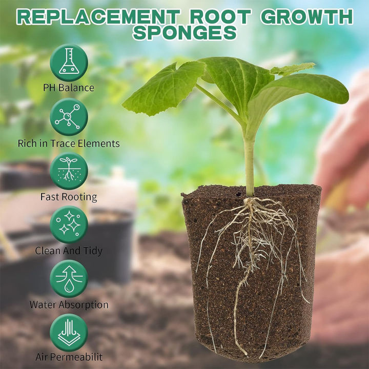 30ชิ้นต้นกล้า-hydroponic-ฟองน้ำเจริญเติบโตในอากาศและการซึมผ่านของน้ำได้ดีปลั๊กสำหรับทำสวนต้นกล้าพืชของแท้คุณภาพสูง