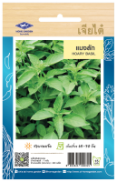 แมงลัก (Hoary Basil) เจียใต๋