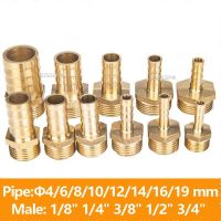 Brass Pipe Fitting 4mm 6mm 8mm 10mm 12mm 19mm Hose Barb Tail 1/8 1/4 1/2 3/8 BSP Male Connector Joint Copper Coupler Adapter