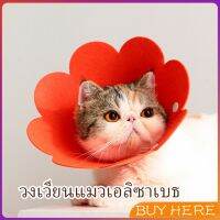 คอลล่าแมว ปลอกคอดอกไม้ ปลอกคอกันเลีย คอลล่าสุนัข  Cat coll BUY HERE