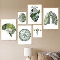สีเขียวบทคัดย่อ Medicine Anatomy Heart Lung Eye Nordic โปสเตอร์และพิมพ์ Wall Art ภาพวาดผ้าใบสำหรับ Clinic Home Decor ที่ไม่ซ้ำกันและโมเดิร์นงานศิลปะ