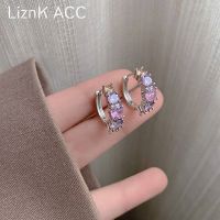 Original s925 silver needle high-end light luxury purple crystal zircon earrings feminine lady earrings 2023 new trend