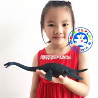 Munich Play - โมเดล ไดโนเสาร์ Plesiosaurs ขนาด 30.00 CM (จากหาดใหญ่)