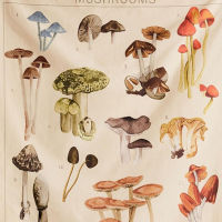 Cute Mushrooms Tapestry Wall Decor Mycology Champignon Identification Chart