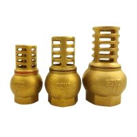 1/2 3/4 1 1-1/4 1-1/2 BSP Female Thread Brass Check Valve Strainer Filter Bottom Valve Foot Valve For Water Oil Pump