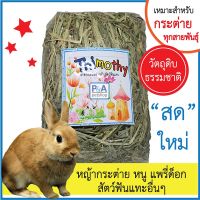 ❗️❗️ SALE ❗️❗️ หญ้ากระต่ายทิโมธี_ขนาดเล็ก / สำหรับสัตว์ฟันแทะทุกชนิด /สดใหม่100% !! อาหารสัตว์เลี้ยงขนาดเล็ก Small Pet Food มาตรฐาน โค้งสุดท้าย บริการเก็บเงินปลายทาง ราคาถูก คุณภาพดี โปรดอ่านรายละเอียดก่อนสั่ง