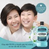 Bộ 2 chai nước súc miệng diệt khuẩn giữ hơi thở thơm mát listerine cool - ảnh sản phẩm 5