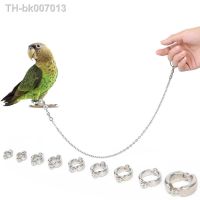 №☌☌  Parrot Anklet Secure Light Bird Foot Chain Starling Cockatiel Pigeon Stainless Steel  Training Stand Anklet Ring Buckle