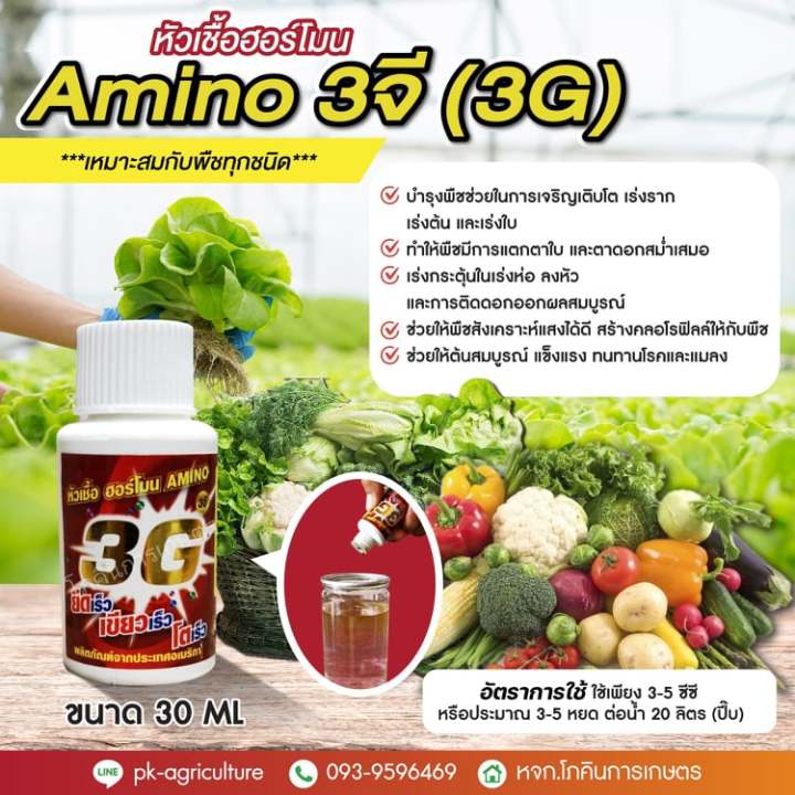หัวเชื้อฮอร์โมน-amino-3-จี-3g