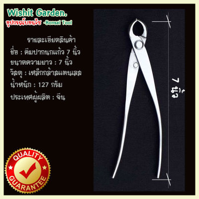 เครื่องมือบอนไซ คีมปากนกแก้ว ขนาด 7 นิ้ว ผลิตจากสแตนเลส ปากนกแก้ว knob cutter -concave-edge-cutter-stainless-steel-bonsai-tools