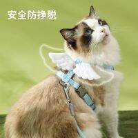 Cat tractionto go out and slip catto prevent break free adjustable net red kitten dog chain tied dogpet supplies