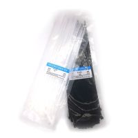 Wholesale High Quality PLastic Cable Zip Tie 250mm Black White Zip Ties Park of 100pcs 4x250