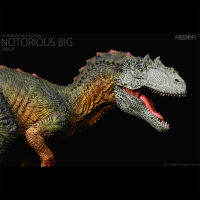 REBOR Marinemaximus Notorious Big Dinosaur Collector ของเล่น Allosauridae Animal Model Decoration