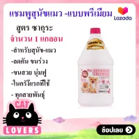 [1 แกลอน]Petheng Shampoo For Dog 1000 ml/ เพ็ทเฮง แชมพูอาบน้ำสุนัข เเมว ป้องกันเห็บหมัด ทุกสายพันธุ์ แก้คัน ขนร่วง 1 ลิตร สูตรขนนุ่มหอมนาน