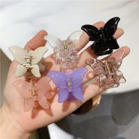 New Korean Girls Butterfly Resin Hair Claws / Girls Romantic Hairpin / Sweet Hair Ornament Clip / Trendy Acrylic Hairclaw Hair Accessories