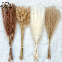 100 pcs Pampas Grass Fluffy Phragmites Room Home Decor ดอกไม้แห้งธรรมชาติ Bunny Tail Grass Reed ช่อดอกไม้สำหรับงานแต่งงานตกแต่ง-GFGNH MALL