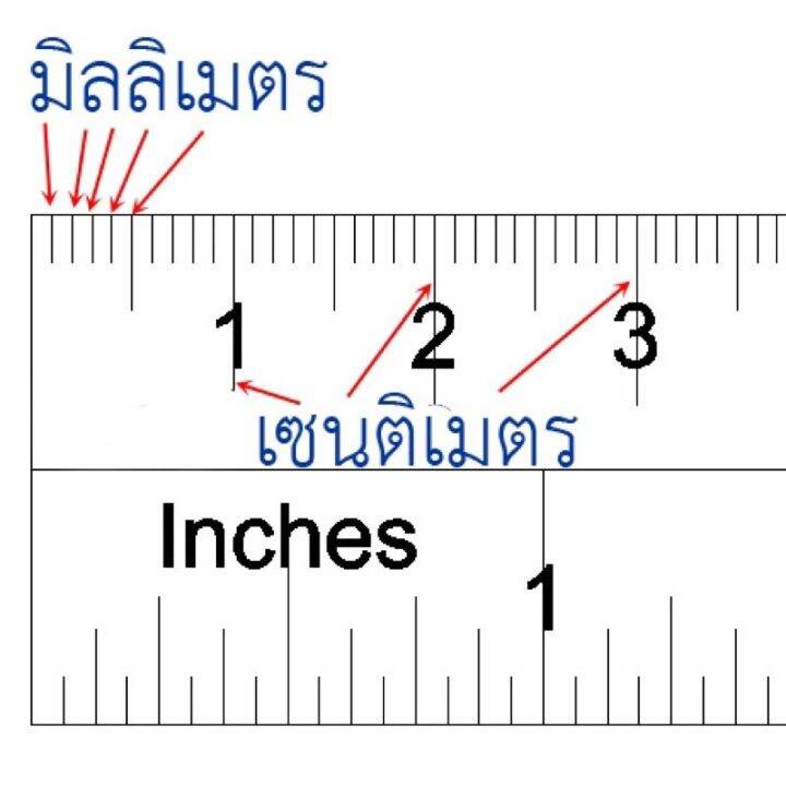 กระดุมกะลา-กะลาดอกไม้-กระดุมเสื้อ-กระดุม-กระดุมไม้-กระดุมกะลามะพร้าว-กระดุม-กระดุมกางเกง-กระดุมสอย