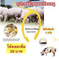 มีโค้ดส่วนลด30บาท อุปกรณ์ช่วยผสมเทียมหมู ตัวช่วยผสมเทียมหมู ตัวช่วยผสมเทียม