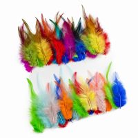 ♀ 10-15cm Pretty Plumes Natural Rooster Feathers for Crafts Diy Softs Chicken Feather Jewelry Earring Plumas Decor Accessories