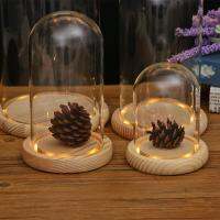 Terrarium ภาชนะตกแต่งโชว์บนโต๊ะฝาครอบแก้วเครื่องประดับดอกไม้แห้งโถระฆังทำมือฐานไม้ที่มีเท้าไฟ LED ผู้ถือ Niufen