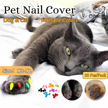 Cat Nail Caps for sale