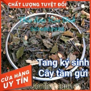 Shop Mới Tang ký sinh, Tầm gửi  cây khế, cây bưởi