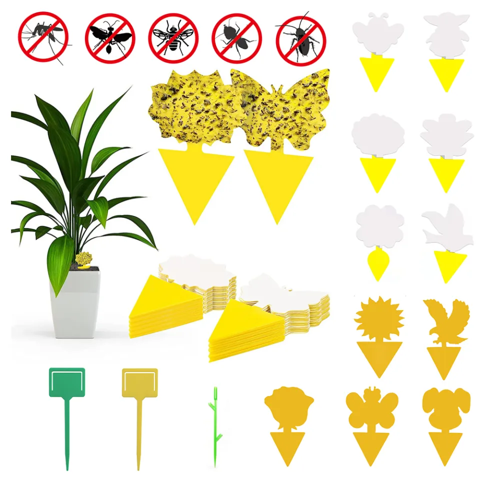 Yellow Sticky Bug Traps Sticky Fruit Fly Gnat Trap Mosquitos,Fungus Dual  Sided Glue Insect Catcher to Control Bugs Indoor Outdoor for White  Flies,Aphids and Flying Pests in Potted Plants Trap Catcher 