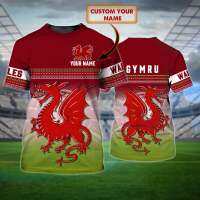 Tessffel National Emblem Flag Galles Cymru Dragon Tattoo Custom Name Printed Mens Round Neck T-Shirt Casual Versatile Tops