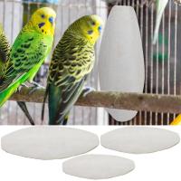 10ชิ้นปลาหมึกกระดูกซีเปียนกแก้วเคี้ยวกระดูกนกอาหารแคลเซียม Pickstone นกแก้ว Budgies C Ockatiels ปลาหมึกของเล่น