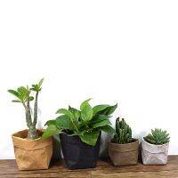 New Product 1Pcs Mini Kraft Paper Succulents Pot Washable Paper Flowerpot Creative Desktop Planter Grow Bag Reuseable Home Storage Bags 25