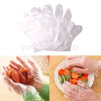 【hot sale】✱▬✉ D13 100pcs Multifunctional Plastic Disposable Gloves Restaurant Home Kitchen Service Catering Hygiene Supply