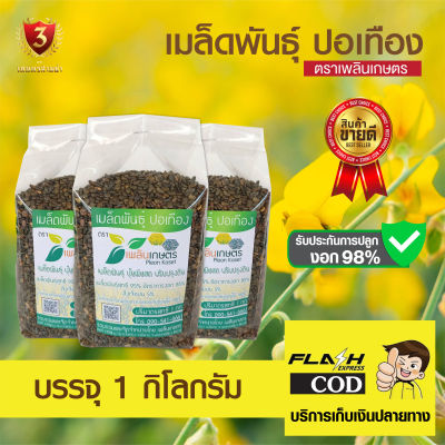 เมล็ดพันธุ์ปอเทือง (ขนาด 3กก.) คัดสะอาด อัตราการงอก 98% สินค้าพร้อมส่ง