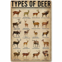 Jimin Types Of Deer Metal Signs-คู่มือวิทยาศาสตร์และความรู้ยอดนิยมเกี่ยวกับ Deer - Vintage Wall Decor สำหรับห้องคลับหรือฟาร์ม