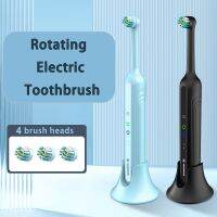 Rotary Electric Toothbrush Whitening Teeth for Adults Household Protection Tooth Waterproof Soft Bristle with 4 Replacement Head