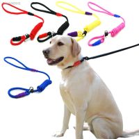 ☊┋ Pet Dog Nylon Adjustable Slip Chains Training Collar Leash Rope Pet Products Dog Strap Traction Rope Dog Pinch Collar Lead
