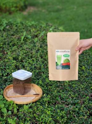 อะกาแฟ ผงชาเขียว ชาเขียว ชาเขียวผง กลิ่นหอม เข้มข้น (Green Tea Powder) ขนาด 500 กรัม  (Size 500 grams) อะ กาแฟโบราณ พิษณุโลก A Coffee Phisanulok