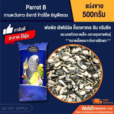 ( PRO+++ ) โปรแน่น.. Parrot B อาหารนก ทานตะวันรวม ข้าวโอ๊ต ธัญพืชรวม (แบ่งขาย 500g.) ราคาสุดคุ้ม อาหาร นก อาหารนกหัวจุก อาหารนกแก้ว อาหารหงส์หยก