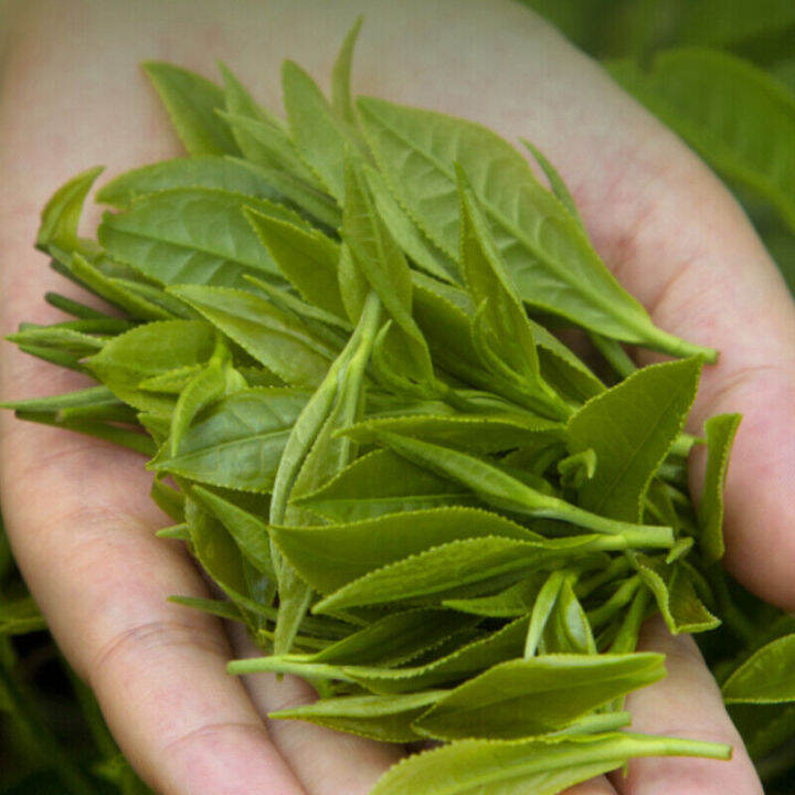 huangshan-maofeng-green-tea-250g-high-mountain-top-grade-green-tea-gift-package