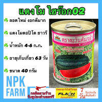 แตงโม ไฮร๊อก 02 ขนาด 40 กรัม ตะวันต้นกล้า ไฮรอค ล๊อตใหม่ งอกดี ตอปิโด ทรงยาวรี ผิวเขียวเข้ม ติดผลดก น้ำหนัก 4-6 กิโลกรัม อายุ 60 วัน npkplant