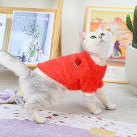 【cw】2022 New Cat Fruit Fluffy Jacket Cartoon Autumn and Winter Thick Warm Cat Clothing Clothing ！