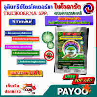 (1ซอง) ไบโอการ์ด BIOGUARD ไตรโคเดอร์ม่า Trichoderma spp. 5 สายพันธุ์ ขนาด 100 กรัม