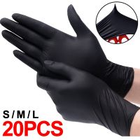 20/4Pcs Disposable Nitrile Gloves Food Grade Kitchen Gloves Waterproof Latex Free Home Cleaning Car Repairing Tattoo Work Gloves