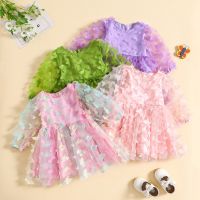 Kids Baby Girl Princess Dress Butterfly Applique Long Sleeve Dress Toddler Birthday Party Dresses Elegant Spring Fall Clothes  by Hs2023