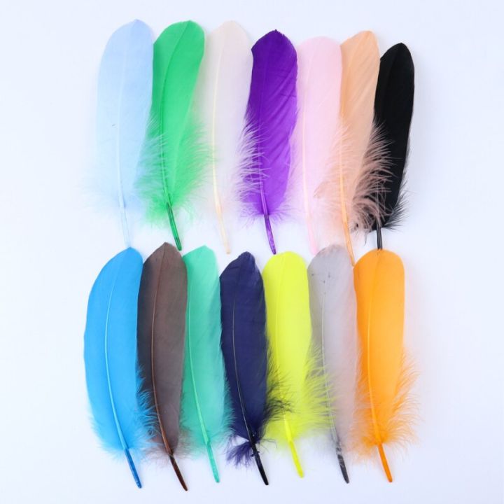 100-pcs-package-colored-diy-goose-flow-process-feather-fluorescent-flower-chestnut-decoration-accessories