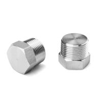 1/8" 1/4" 3/8" 1/2" 3/4" 1" M12 M14 M16 M18 M20 BSPT NPT Metric Male 304 316 Stainless Steel Hex Head End Cap Plug Pipe Fitting Pipe Fittings Accessor