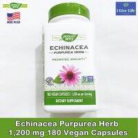 สารสกัดเอ็กไคนาเซีย Echinacea Purpurea Herb 1,200 mg 180 Vegan Capsules - Natures Way