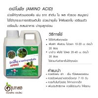 อะมิโนพืช สูตร โตไว บำรุงต้น บำรุงใบ ใช้ได้ทุกระยะการเติบโต ขนาด 1 ลิตร