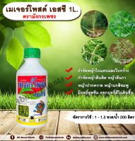 เมเจอร์โพสต์ เอสซี 1L. ตรามังกรเพชร อะมีทรีน อามีทรีน สารกำจัดวัชพืช กำจัดหญ้า ใบแคบและกว้าง แบบดูดซึม ชนิดน้ำ กำจัด หญ้าตีนติด allabountplants