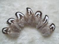 Plumas!100Pcs/Lot! 3 4cm Long Small BLACK amp;WHITE REEVES PHEASANT FEATHERS PLUMAGE FeathersNature Cheap Reeves Pheasant Feathers