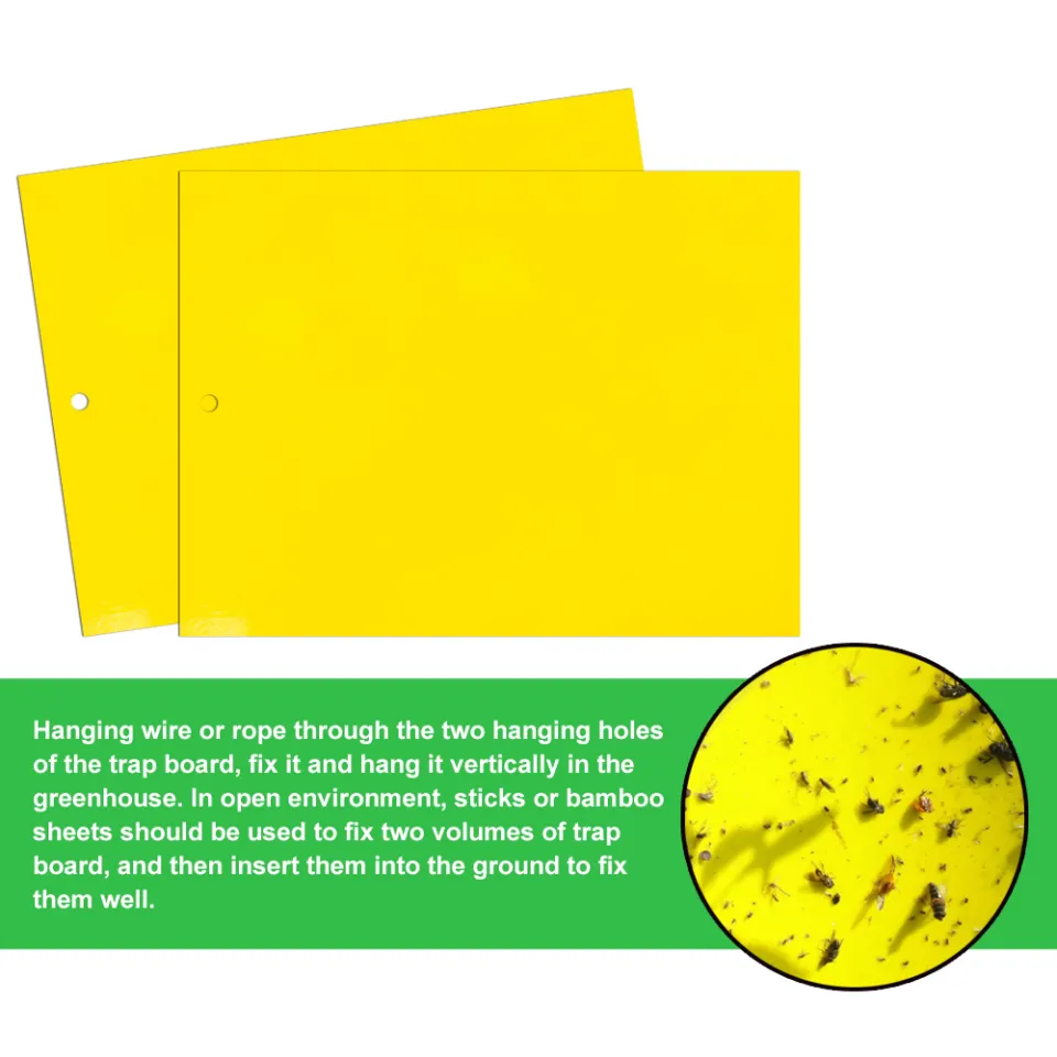 10pcs Yellow Double-sided Greenhouse Sticky Traps Bugs Sticky Board  Multiple Flying Insect Catching Control Sticker